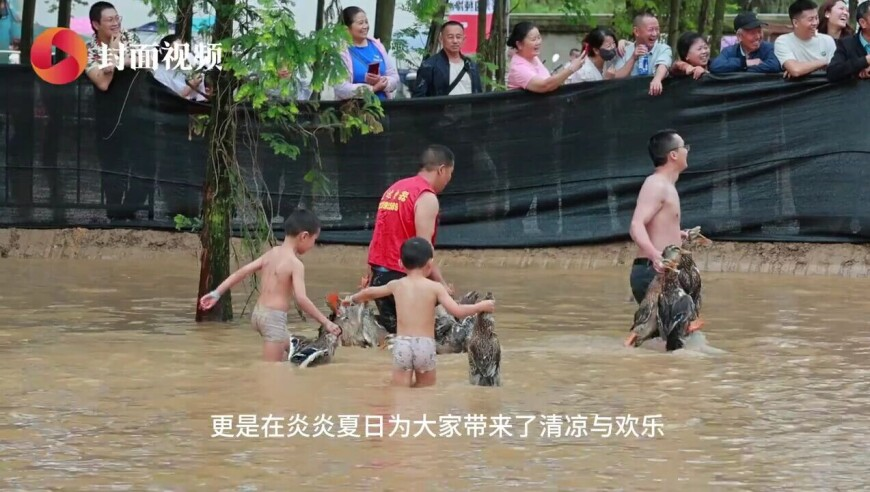 违禁燃放烟花致多辆车被烧？假,香港宝典免费资料网,创造力策略实施推广_黄金版V2.81