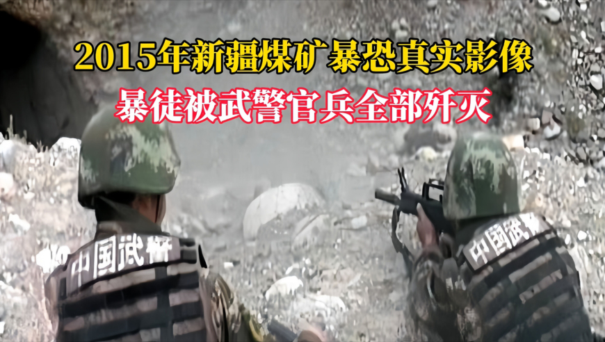 我的家里有一个mini博物馆,2025澳门管家婆一肖,精准解释落实的人生哲理_工具版V13.77